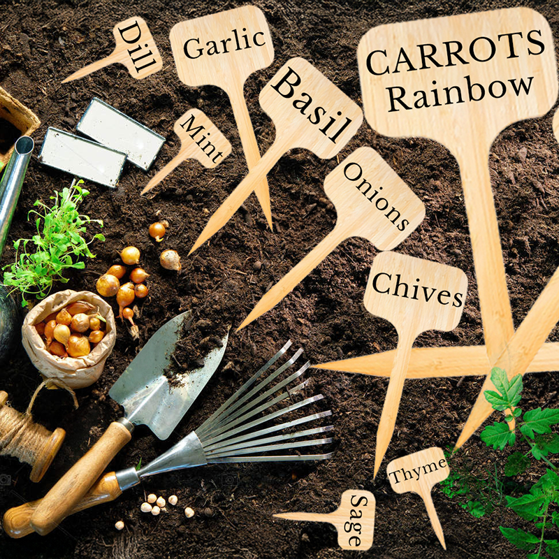 Keep Your Plants & Garden Neat and Organized